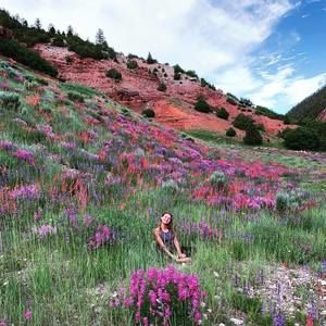 Meet your Posher, Samantha